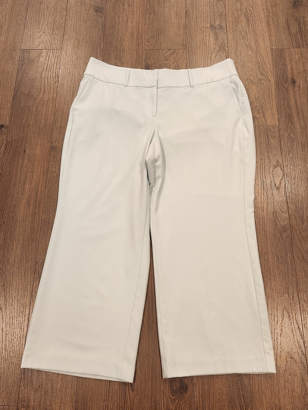Lane Bryant Modernist Lena Wide Leg Crop Pants Mineral Blue 2022 Sz 20